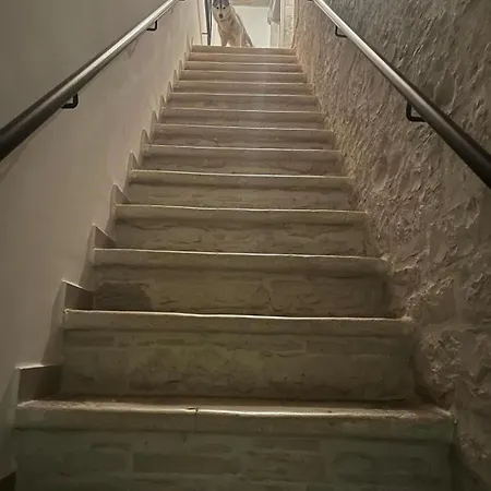 Acanthus Bed & Breakfast *